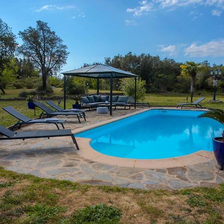 Villa Catalpa Avec Piscine Le Muy Luaran gambar